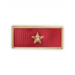 Itfaiye Amir Müdür Arması 3 Boyutlu Yeni Nesil Plastik, Yeni Model Tip, Standart Ölçü, 1.sınıf Kaliteli