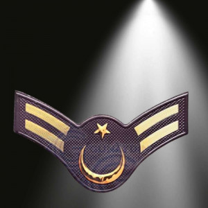 JANDARMA Asayiş Astsubay Çavuş 3d Arması, 2025 Yeni Tip Cırtlı, Standart Ölçü, 1.sınıf Kaliteli