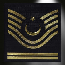 JANDARMA Asayiş Astsubay Kıdemli Başçavuş 3d Arması, Yeni Tip Cırtlı, Standart Ölçü,