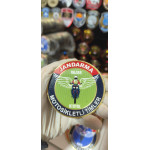 HAZAR Jandarma Otoyol Motosikletli Timler 3d Gögüs Arma, Cırtlı, Standart Ölçü,