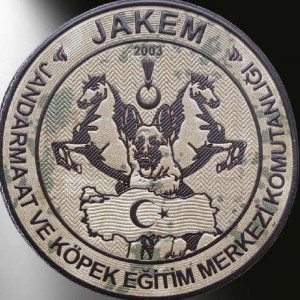 Jandarma JAKEM Kamuflaj 3d Arması,2025 Yeni Tip Cırtlı,Standart Ölçü,1.sınıf Plastik Ultra Kaliteli